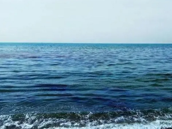 日本核廢水將排海-影響何以估量？